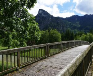 A mezzo is a bridge. The mezzo is the medium. Mezzo means halfway there.